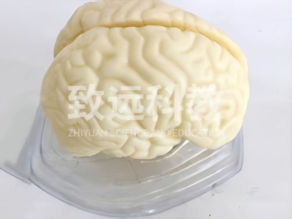 生物仪器